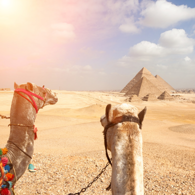 Giza Tours