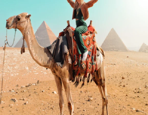 Private full day tour in Cairo  Giza Pyramids and Saqqara – Explore the secrets of ancient Egypt