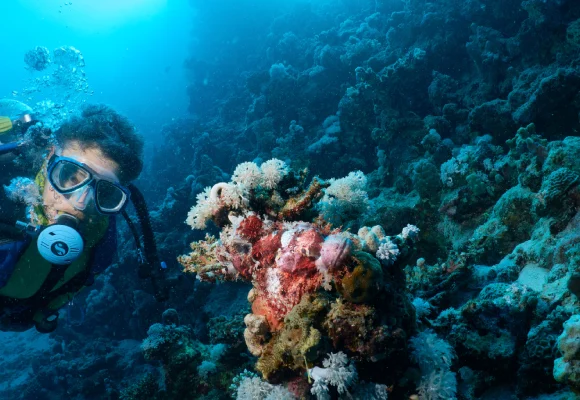 Hurghada Tour – Where the magic of the sea begins and ends at the borders of adventure