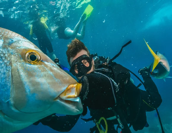 Paradise Island Snorkeling: 1-Day Red Sea Adventure You’ll Never Forget