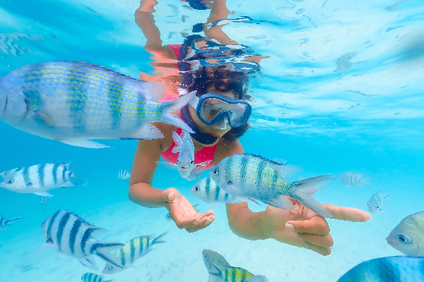 hurghada private tour