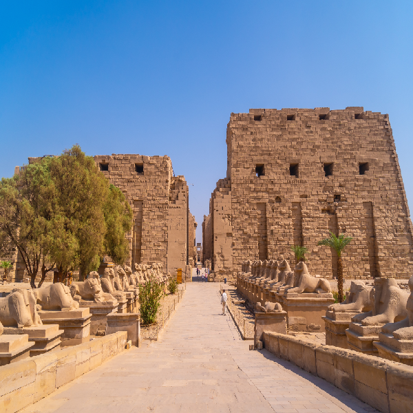 Full Day Luxor Tour 